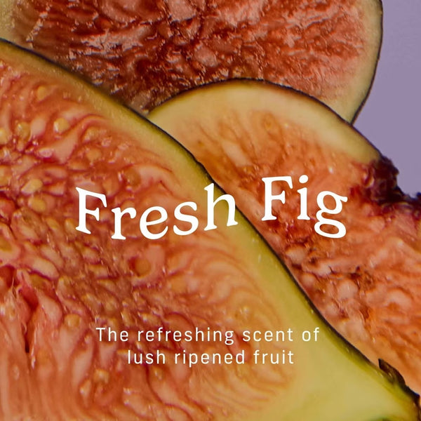 Wipe Your Nooks Refreshing Towelettes - Fresh Fig
